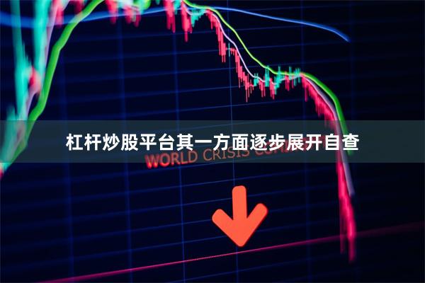 杠杆炒股平台其一方面逐步展开自查