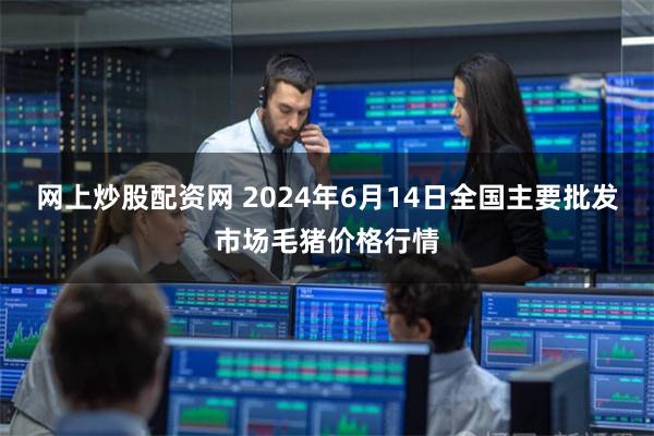 网上炒股配资网 2024年6月14日全国主要批发市场毛猪价格行情